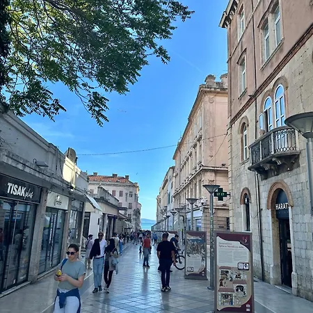 아파트 Diocletian Wine *